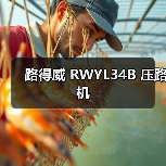 路得威 RWYL34B 压路机(图2) 路得威 RWYL34B 压路机(图2)