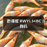 路得威 RWYL34BC 压路机(图3) 路得威 RWYL34BC 压路机(图3)
