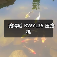 路得威 RWYL35 压路机(图2) 路得威 RWYL35 压路机(图2)