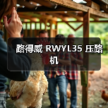 路得威 RWYL35 压路机(图1) 路得威 RWYL35 压路机(图1)