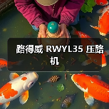路得威 RWYL35 压路机(图3) 路得威 RWYL35 压路机(图3)