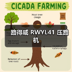 路得威 RWYL41 压路机(图2) 路得威 RWYL41 压路机(图2)