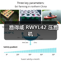 路得威 RWYL42 压路机(图1) 路得威 RWYL42 压路机(图1)