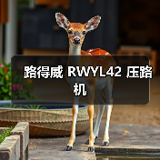 路得威 RWYL42 压路机(图2) 路得威 RWYL42 压路机(图2)