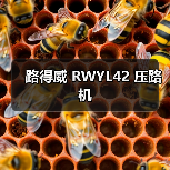 路得威 RWYL42 压路机(图3) 路得威 RWYL42 压路机(图3)