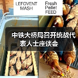 中铁大桥局召开统战代表人士座谈会(图4) 中铁大桥局召开统战代表人士座谈会(图4)