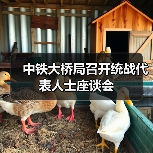 中铁大桥局召开统战代表人士座谈会(图3) 中铁大桥局召开统战代表人士座谈会(图3)