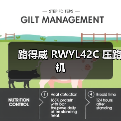 路得威 RWYL42C 压路机(图2) 路得威 RWYL42C 压路机(图2)