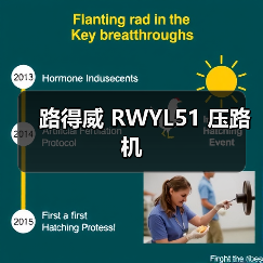 路得威 RWYL51 压路机（图2）