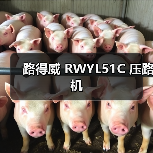 路得威 RWYL51C 压路机(图1) 路得威 RWYL51C 压路机(图1)