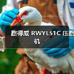 路得威 RWYL51C 压路机(图4) 路得威 RWYL51C 压路机(图4)
