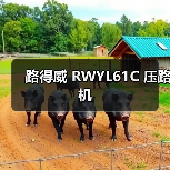 路得威 RWYL61C 压路机(图3) 路得威 RWYL61C 压路机(图3)