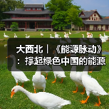 大西北︱《能源脉动》:撑起绿色中国的能源“粮仓”(图2) 大西北︱《能源脉动》:撑起绿色中国的能源“粮仓”(图2)