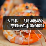 大西北︱《能源脉动》:撑起绿色中国的能源“粮仓”(图1) 大西北︱《能源脉动》:撑起绿色中国的能源“粮仓”(图1)
