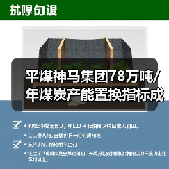 平煤神马集团78万吨/年煤炭产能置换指标成交 总价9294万（图1）