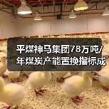平煤神马集团78万吨/年煤炭产能置换指标成交 总价9294万（图3）