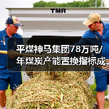 平煤神马集团78万吨/年煤炭产能置换指标成交 总价9294万（图2）