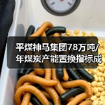 平煤神马集团78万吨/年煤炭产能置换指标成交 总价9294万（图4）