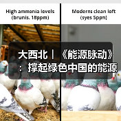 大西北︱《能源脉动》:撑起绿色中国的能源“粮仓”(图4) 大西北︱《能源脉动》:撑起绿色中国的能源“粮仓”(图4)
