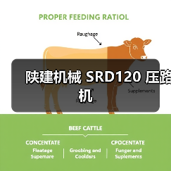 陕建机械 SRD120 压路机(图3) 陕建机械 SRD120 压路机(图3)