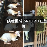 陕建机械 SRD120 压路机(图4) 陕建机械 SRD120 压路机(图4)