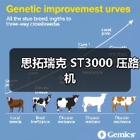 思拓瑞克 ST3000 压路机(图4) 思拓瑞克 ST3000 压路机(图4)