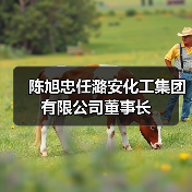 陈旭忠任潞安化工集团有限公司董事长(图3) 陈旭忠任潞安化工集团有限公司董事长(图3)