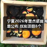宁夏2026年重点项目清单公布 煤炭项目8个(图2) 宁夏2026年重点项目清单公布 煤炭项目8个(图2)