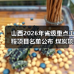 山西2026年省级重点工程项目名单公布 煤炭项目22个(图3) 山西2026年省级重点工程项目名单公布 煤炭项目22个(图3)