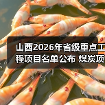 山西2026年省级重点工程项目名单公布 煤炭项目22个(图1) 山西2026年省级重点工程项目名单公布 煤炭项目22个(图1)