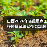 山西2026年省级重点工程项目名单公布 煤炭项目22个(图4) 山西2026年省级重点工程项目名单公布 煤炭项目22个(图4)