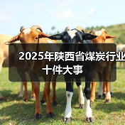 2025年陕西省煤炭行业十件大事（图4）