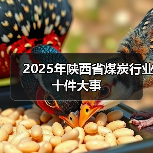 2025年陕西省煤炭行业十件大事（图3）