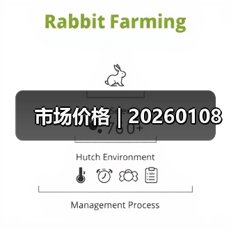 市场价格 | 20260108（图4）