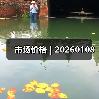 市场价格 | 20260108（图2）