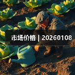 市场价格 | 20260108（图1）