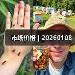 市场价格 | 20260108（图3）