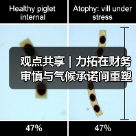 观点共享 | 力拓在财务审慎与气候承诺间重塑(图2) 观点共享 | 力拓在财务审慎与气候承诺间重塑(图2)