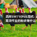 酒井SW750N压路机:高效作业的秘密是什么?(图3) 酒井SW750N压路机:高效作业的秘密是什么?(图3)
