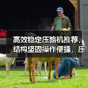 高效稳定压路机推荐,结构坚固操作便捷,压实效果好易维护(图2) 高效稳定压路机推荐,结构坚固操作便捷,压实效果好易维护(图2)