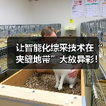 让智能化综采技术在“夹缝地带”大放异彩!(图2) 让智能化综采技术在“夹缝地带”大放异彩!(图2)