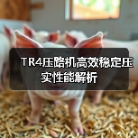 TR4压路机高效稳定压实性能解析(图1) TR4压路机高效稳定压实性能解析(图1)