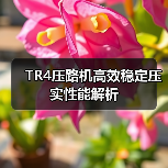 TR4压路机高效稳定压实性能解析(图4) TR4压路机高效稳定压实性能解析(图4)