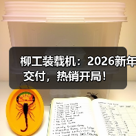 柳工装载机:2026新年交付,热销开局!(图3) 柳工装载机:2026新年交付,热销开局!(图3)