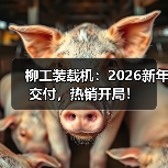 柳工装载机:2026新年交付,热销开局!(图2) 柳工装载机:2026新年交付,热销开局!(图2)