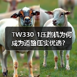 TW330-1压路机为何成为道路压实优选?(图2) TW330-1压路机为何成为道路压实优选?(图2)