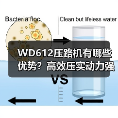 WD612压路机有哪些优势?高效压实动力强(图1) WD612压路机有哪些优势?高效压实动力强(图1)