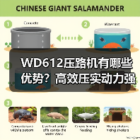 WD612压路机有哪些优势?高效压实动力强(图3) WD612压路机有哪些优势?高效压实动力强(图3)
