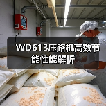 WD613压路机高效节能性能解析（图3）
