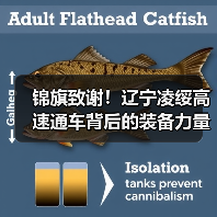 锦旗致谢!辽宁凌绥高速通车背后的装备力量(图3) 锦旗致谢!辽宁凌绥高速通车背后的装备力量(图3)